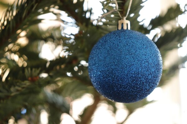 Symbolbild Weihnachtsbaum