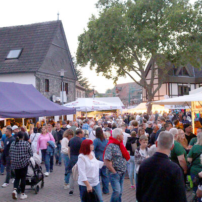 Bild vergr&ouml;&szlig;ern: Altstadtfest 2026 2
