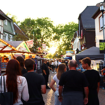 Bild vergr&ouml;&szlig;ern: Altstadtfest 2026 5